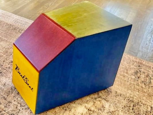 Junior Multicolor BeatSeat